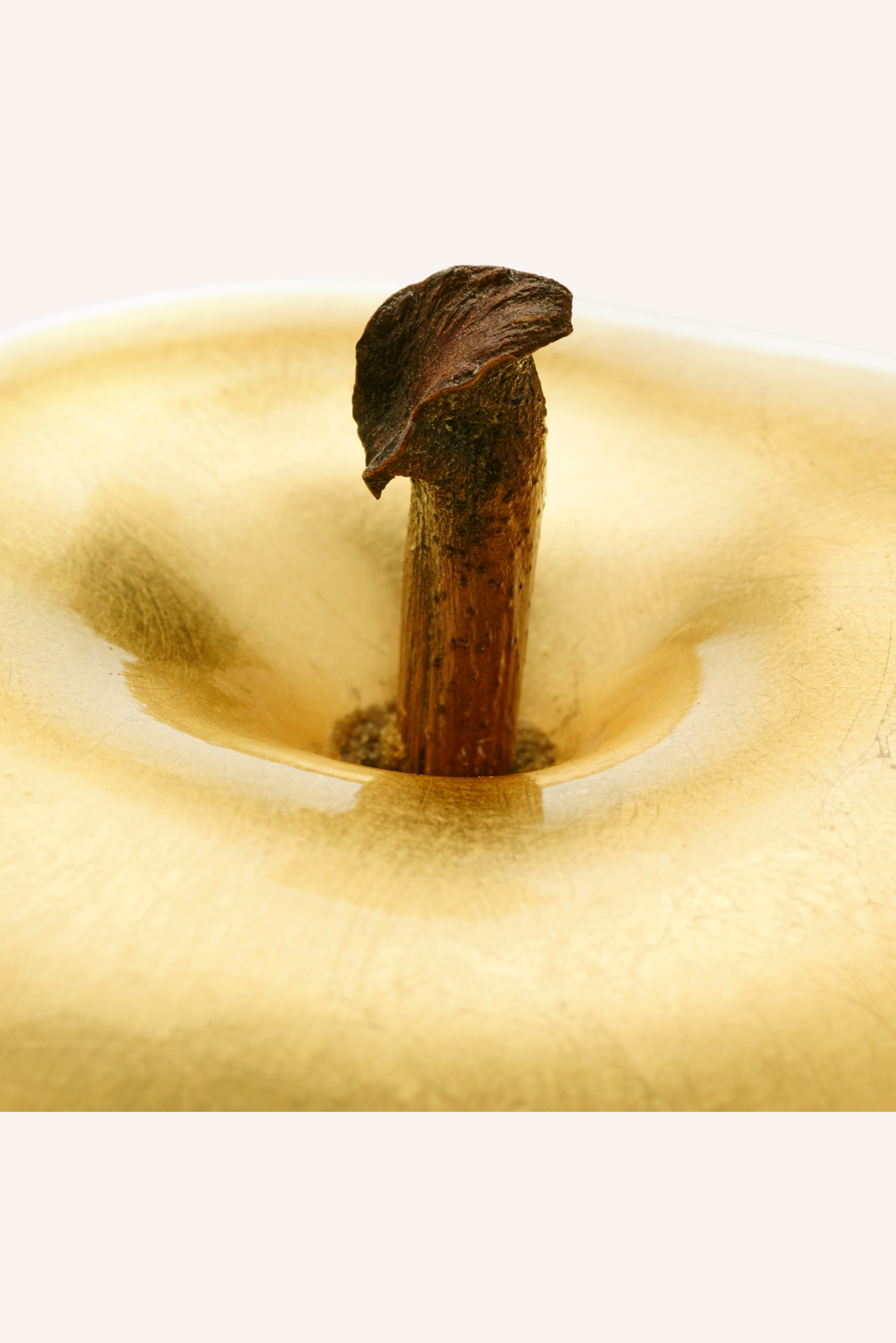 Apple - Ceramic Gold & Silver Plated