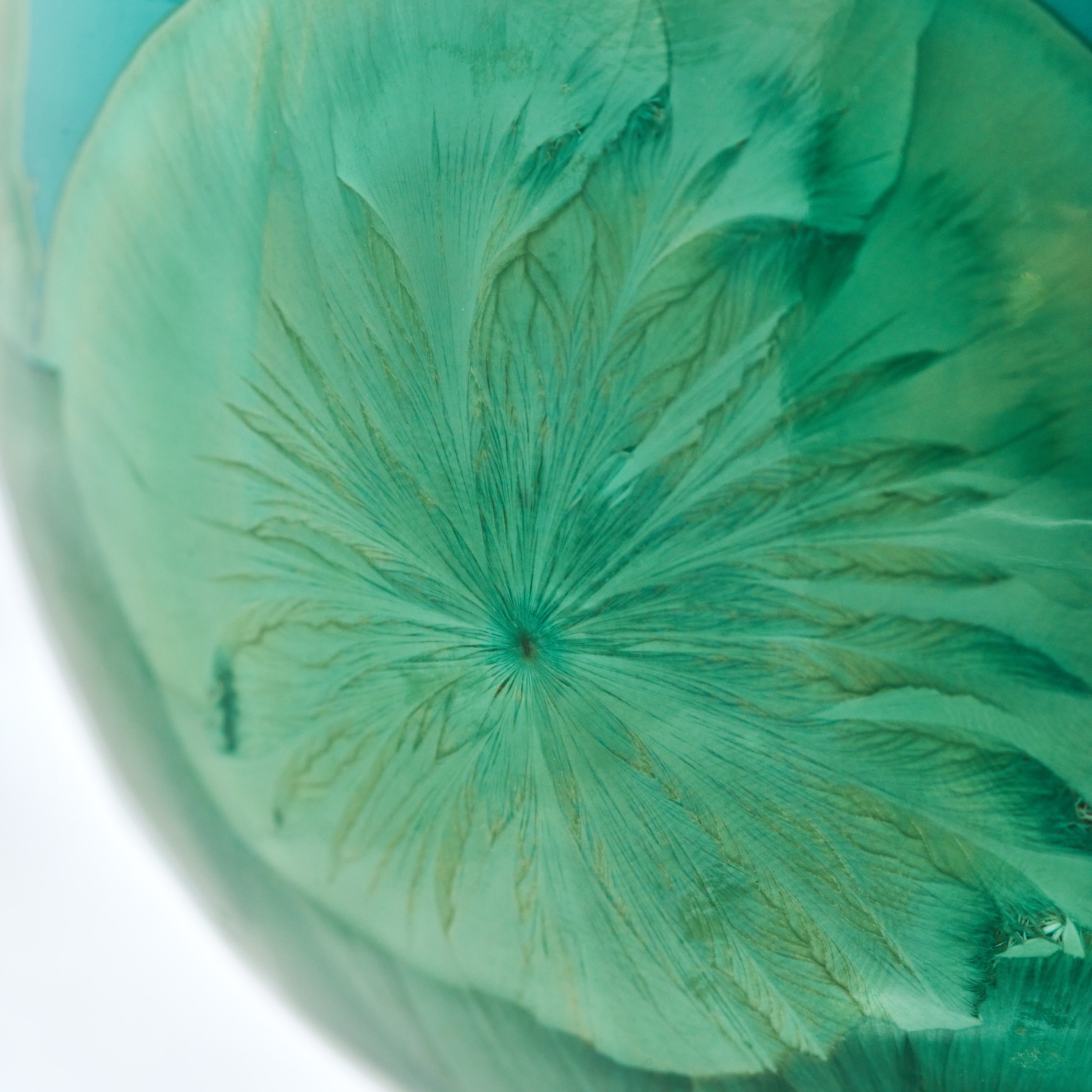 Apple - Jade Porcelain