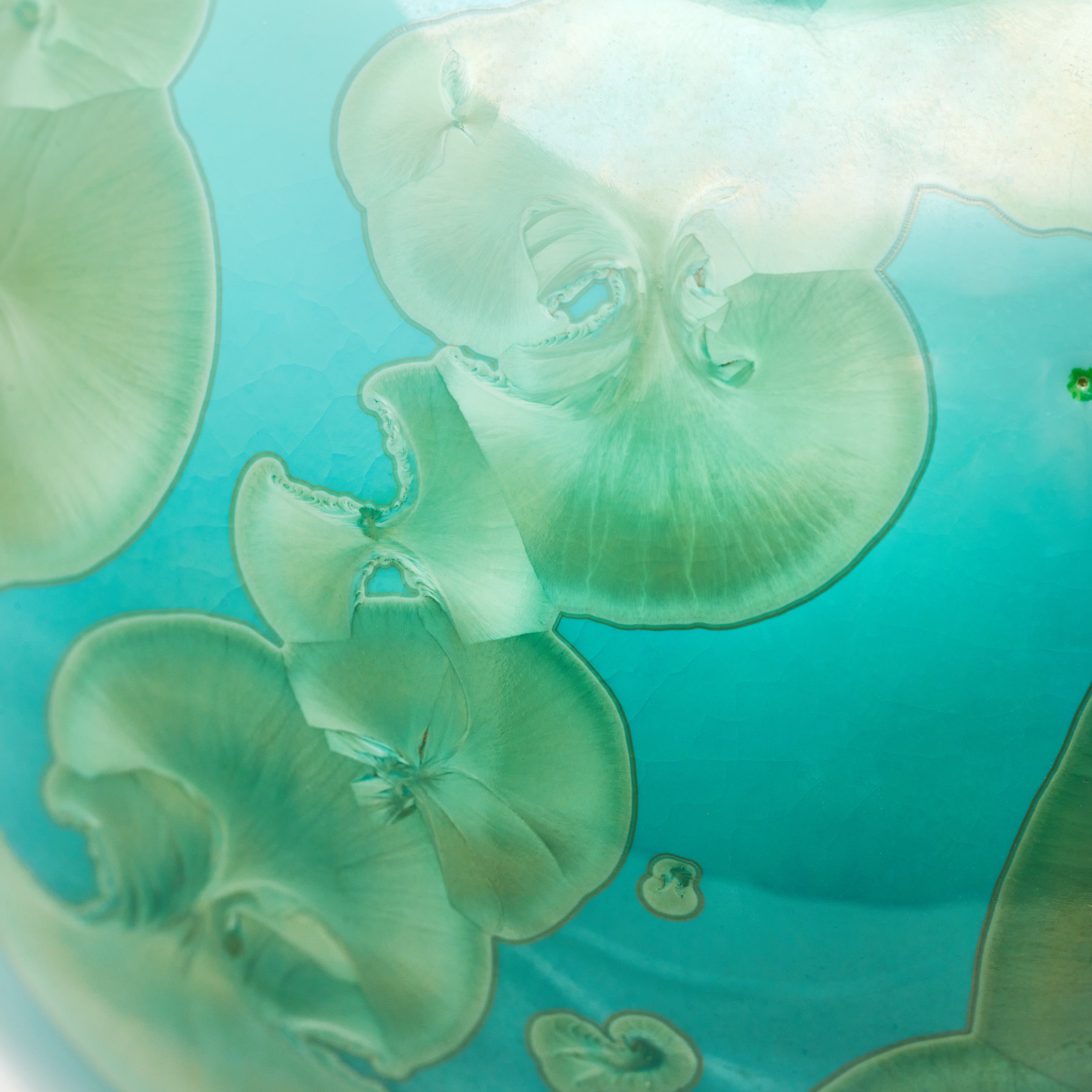 Apple - Jade Porcelain