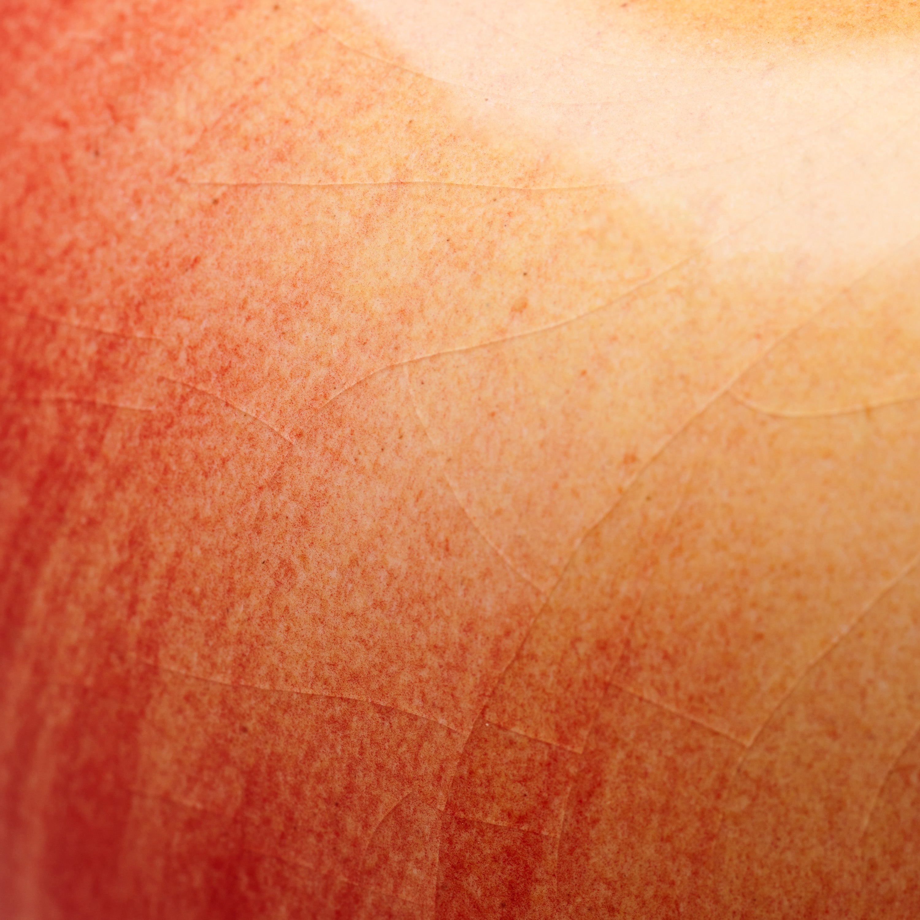 Apple - Classic
