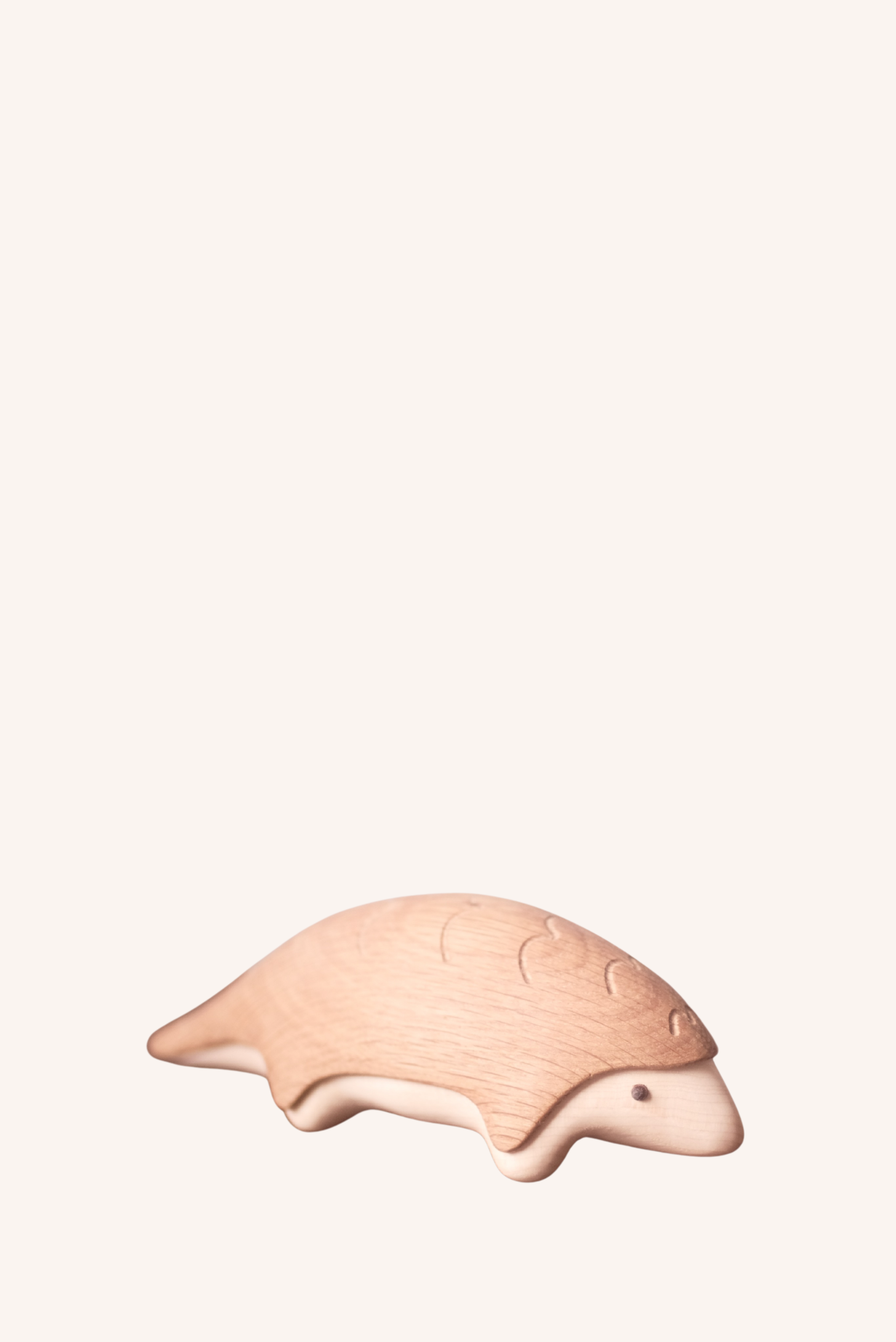 Pangolin Storage Box